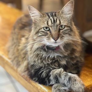 Meet your Posher, Josh